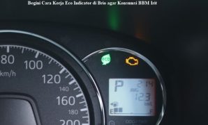 eco indicator